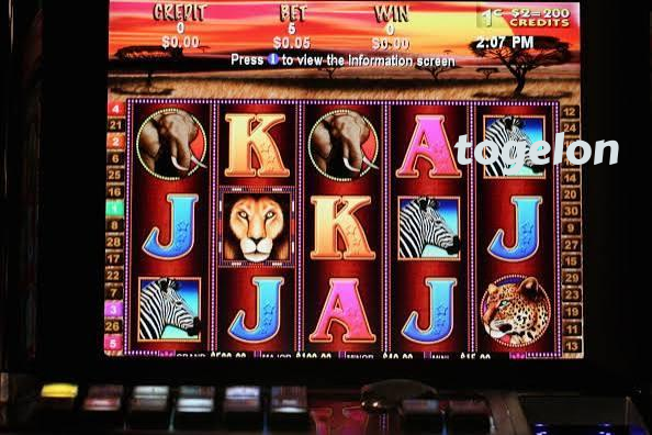 togelon Live Casino Tables Built for Indonesia